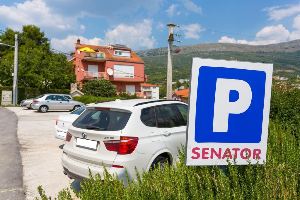 Senator